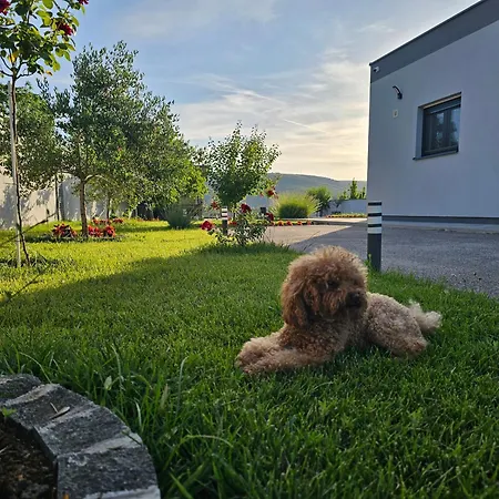 Vukas * Mostar